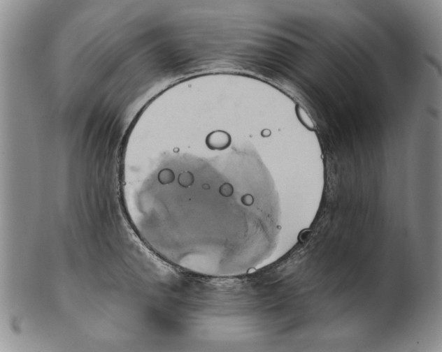 X0000100761142200807171336