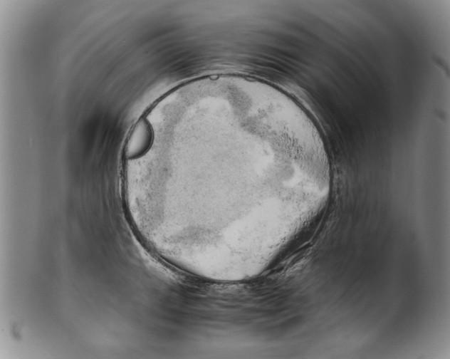 X0000100761143200807171336