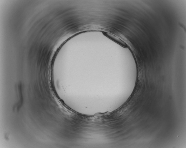 X0000100761144200807171336