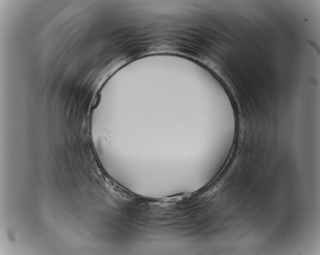 X0000100761145200807171336