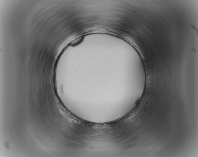 X0000100761146200807171336