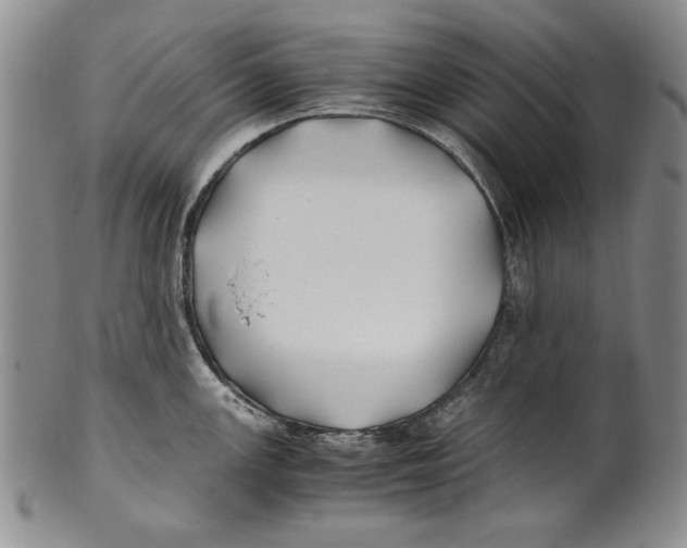 X0000100761147200807171336