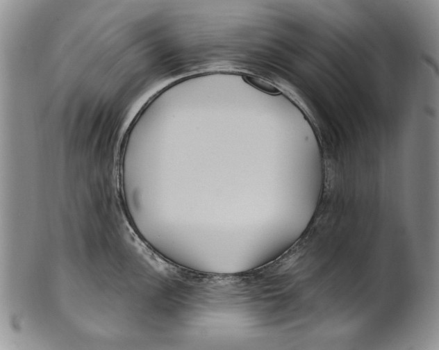 X0000100761148200807171336