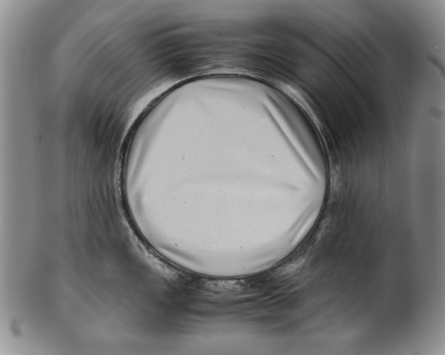X0000100761149200807171336
