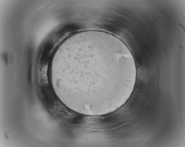 X0000100761150200807171336