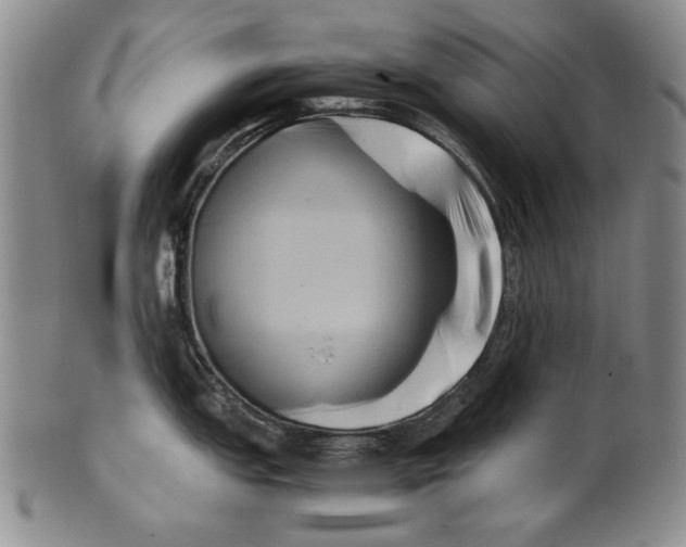 X0000100761151200807171336
