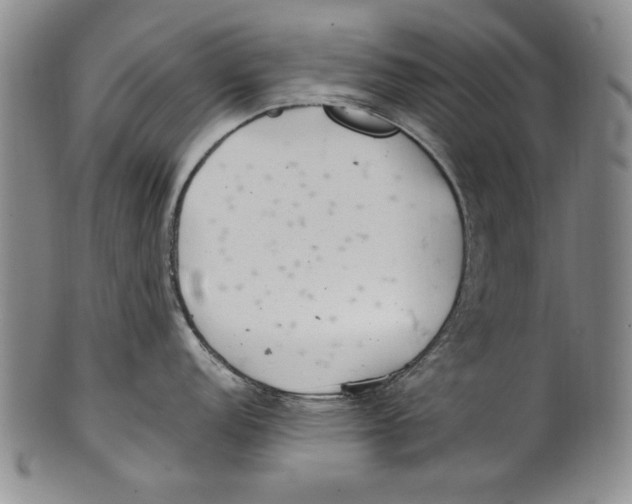 X0000100761152200807171336