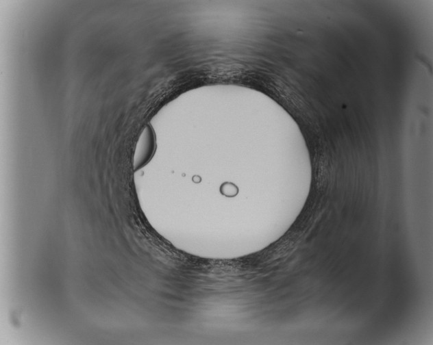 X0000100761153200807171335
