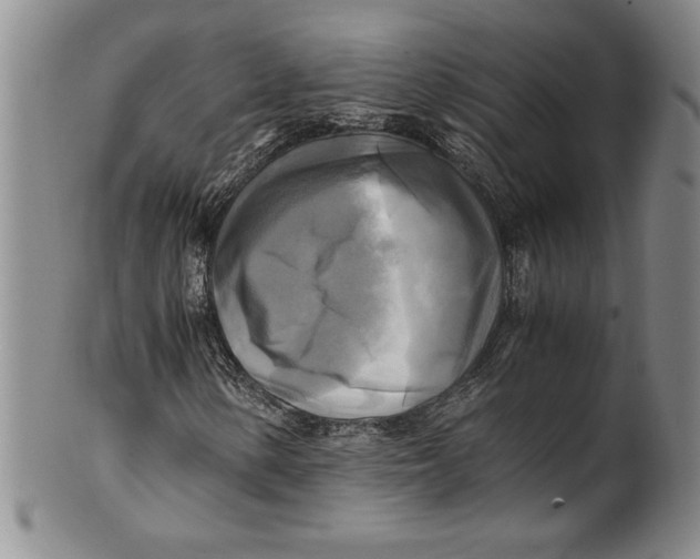 X0000100761154200807171335