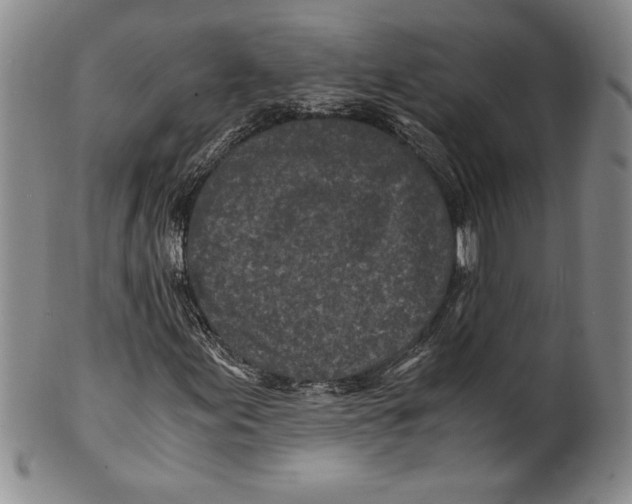 X0000100761155200807171335