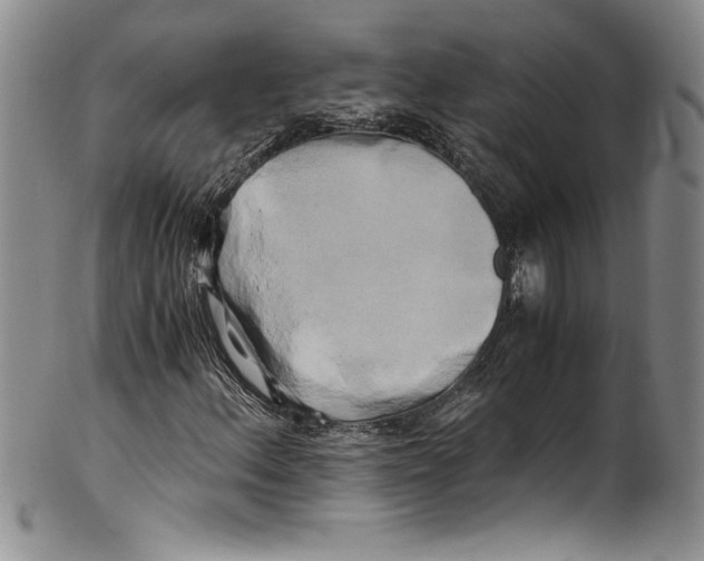 X0000100761156200807171335