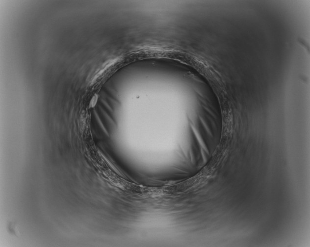 X0000100761157200807171335