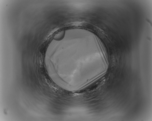 X0000100761158200807171335
