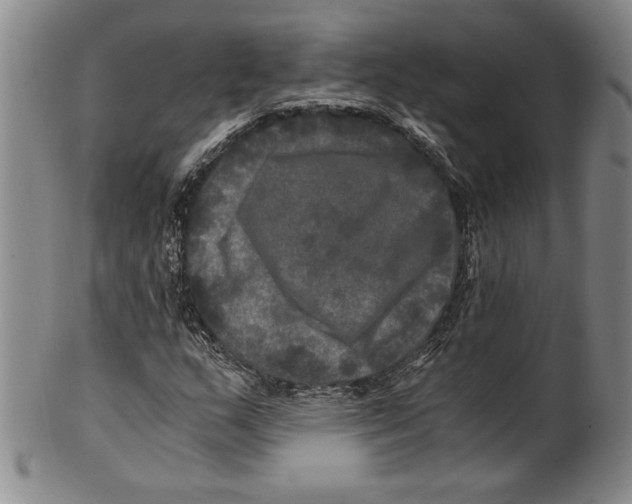 X0000100761159200807171335