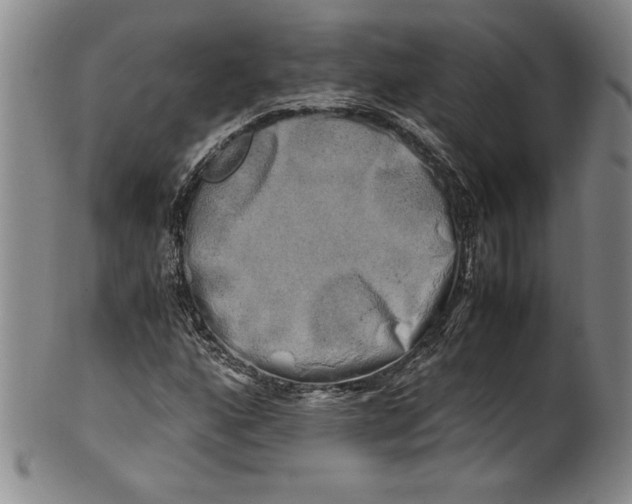 X0000100761160200807171335