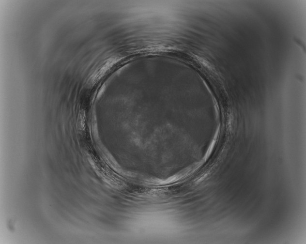 X0000100761161200807171335