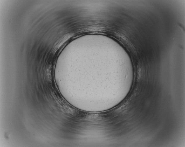 X0000100761162200807171335