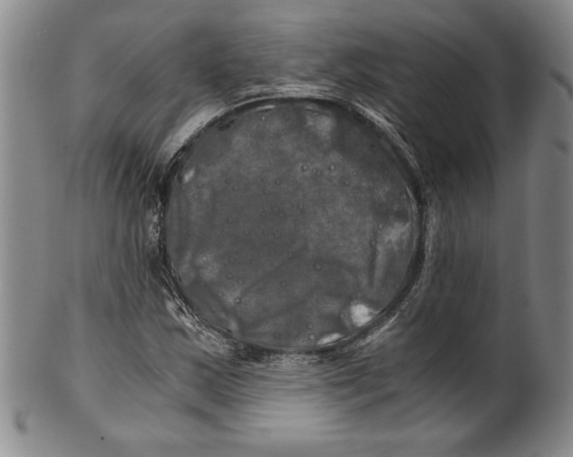 X0000100761163200807171335