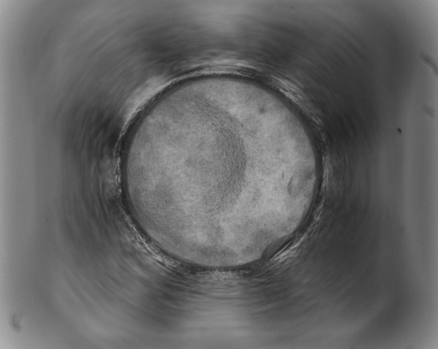 X0000100761164200807171335