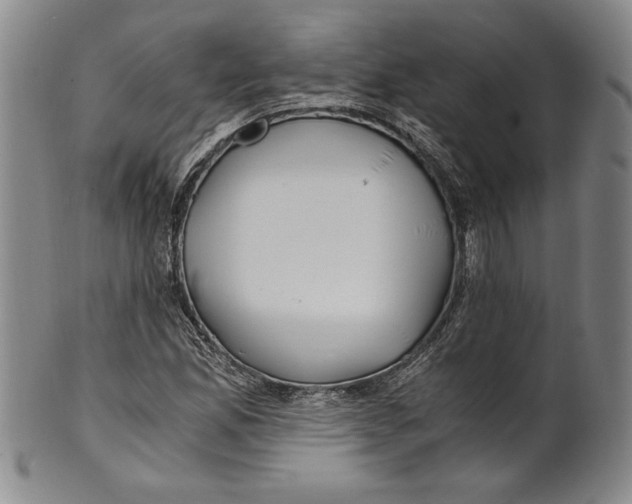 X0000100761165200807171335