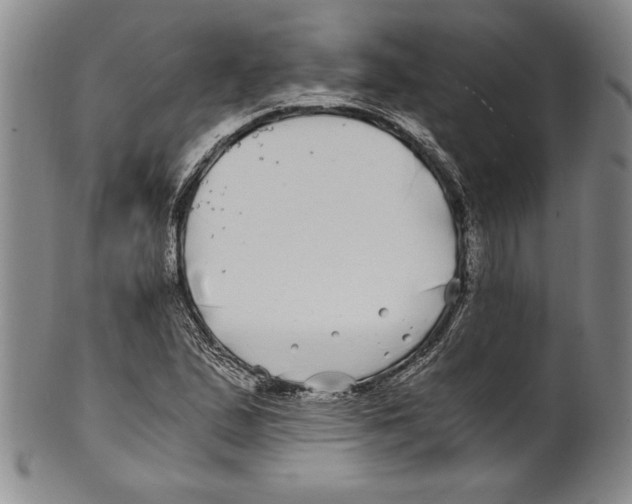 X0000100761167200807171335