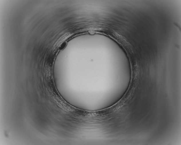 X0000100761169200807171335