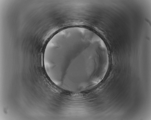 X0000100761171200807171335