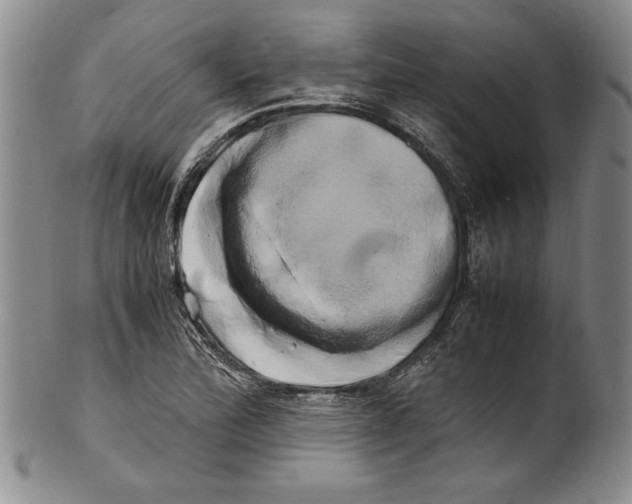 X0000100761172200807171335