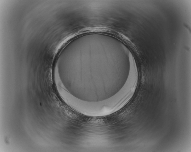 X0000100761174200807171335