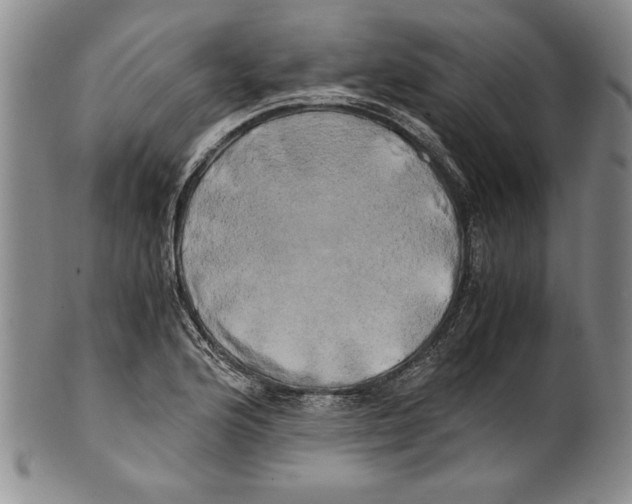 X0000100761176200807171335