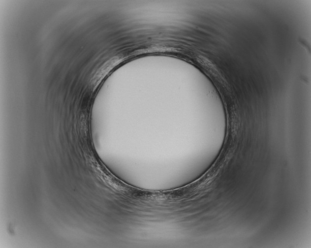 X0000100761177200807171335