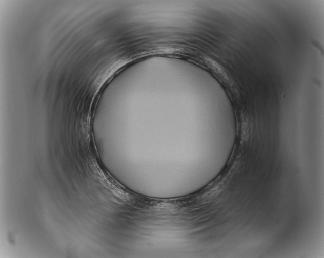 X0000100761178200807171335