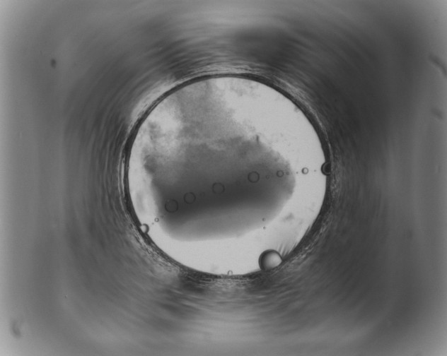 X0000100761179200807171335