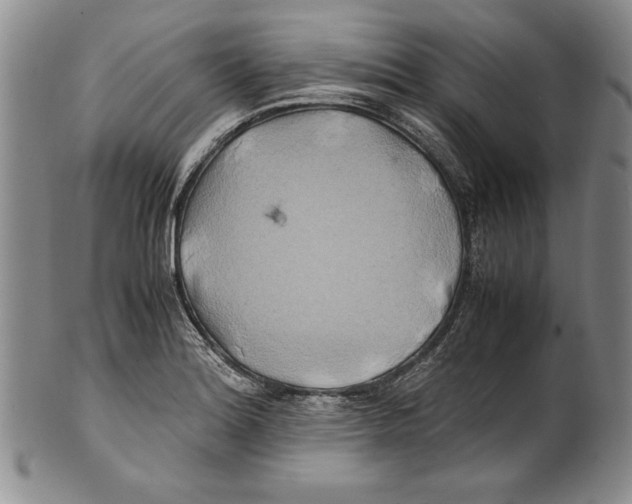 X0000100761180200807171335