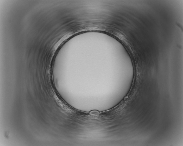 X0000100761181200807171335