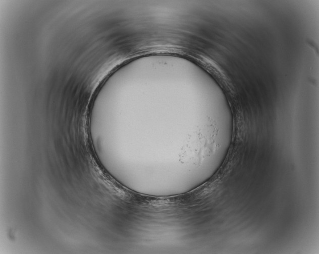 X0000100761182200807171335