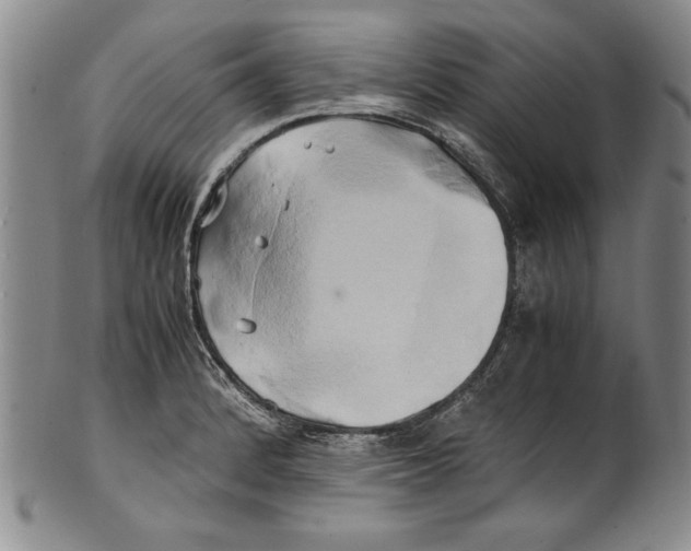 X0000100761184200807171335