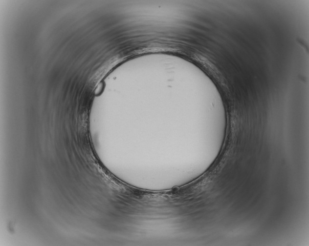 X0000100761185200807171335