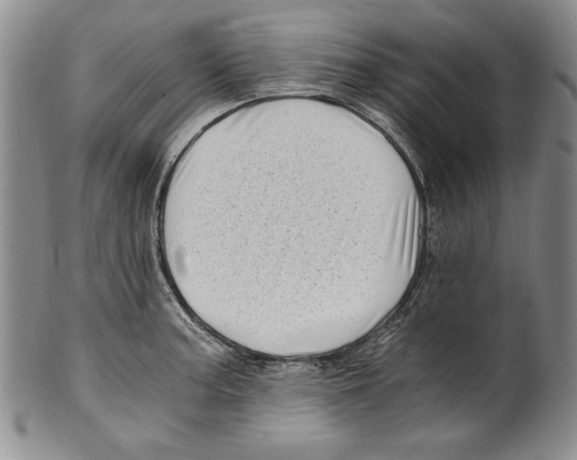 X0000100761187200807171335