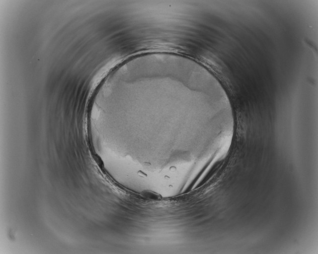 X0000100761188200807171335