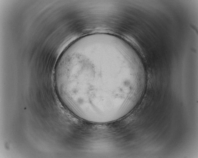 X0000100761190200807171335