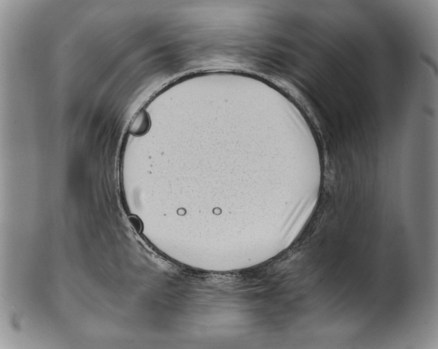 X0000100761191200807171335
