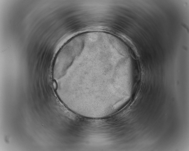 X0000100761192200807171335