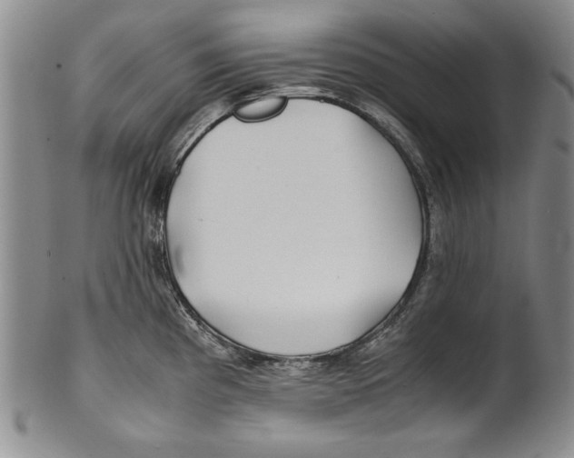 X0000100761193200807171334