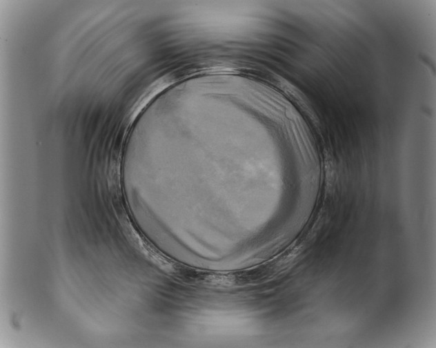 X0000100761194200807171334
