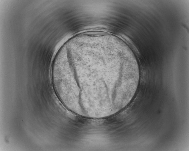 X0000100761196200807171334