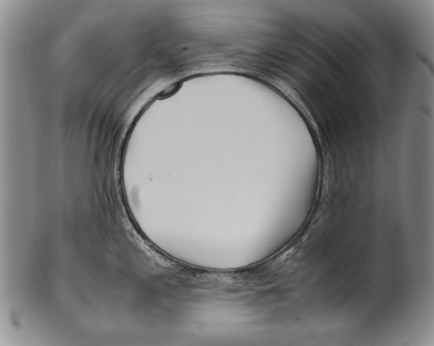 X0000100761197200807171334