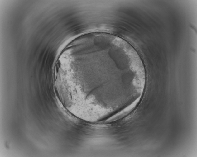 X0000100761200200807171334