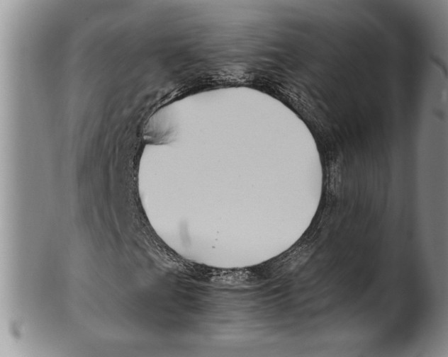 X0000100761201200807171334