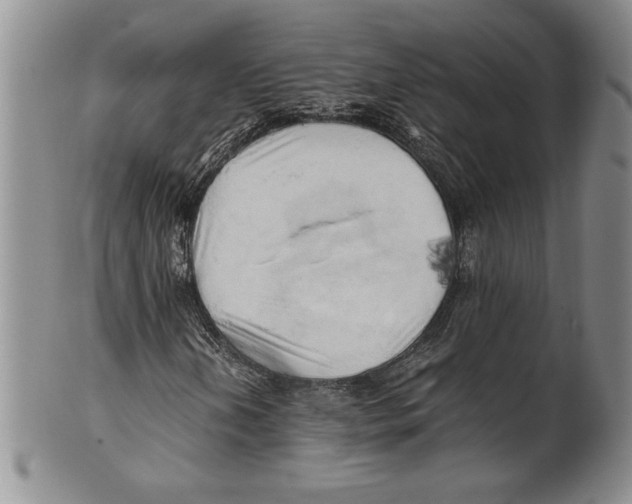 X0000100761202200807171334
